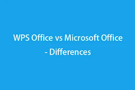 wps excel
